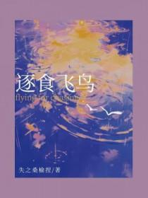 飞鸟逐日 什么意思