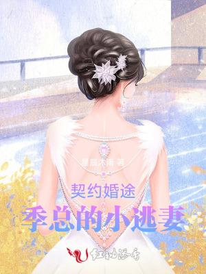 总裁宠妻30天全文免费阅读