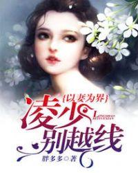 以妻为天v