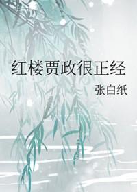 红楼之贾政传