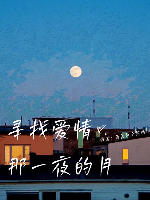 寻找爱情